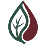 cropped-1000043488-1.png cropped-1000043488-1.png
